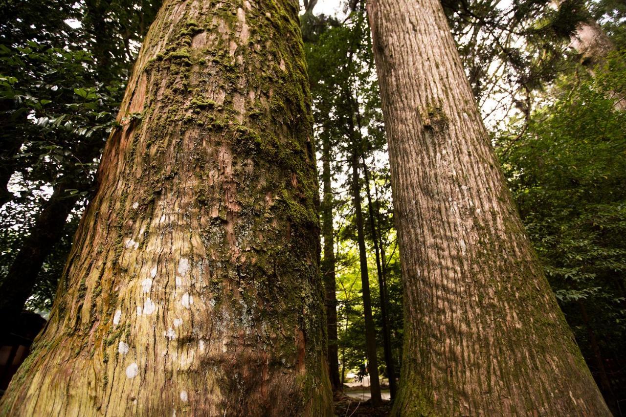 Hotel Sengokuhara 533 Hakone Zewnętrze zdjęcie